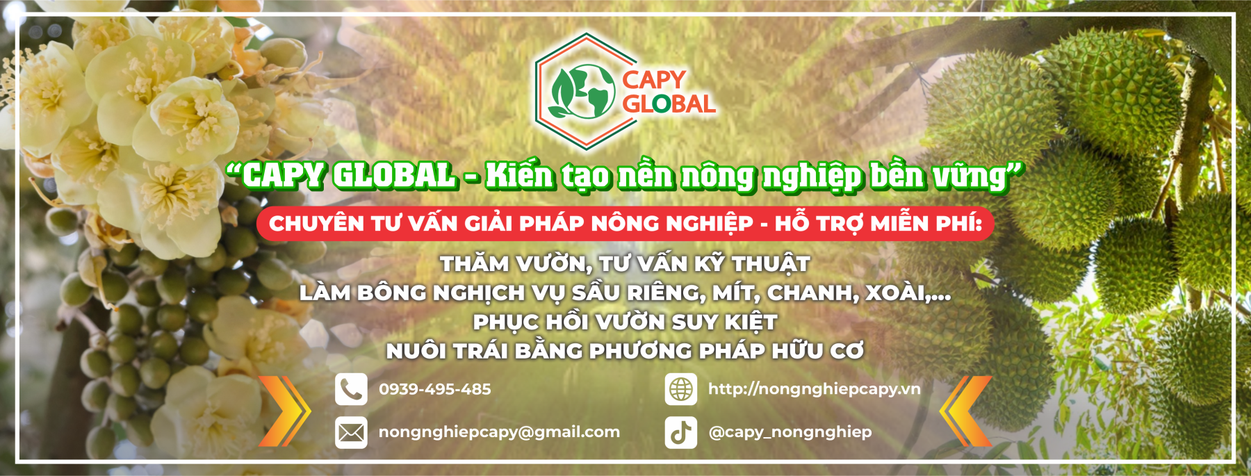 CÔNG TY TNHH CAPY GLOBAL