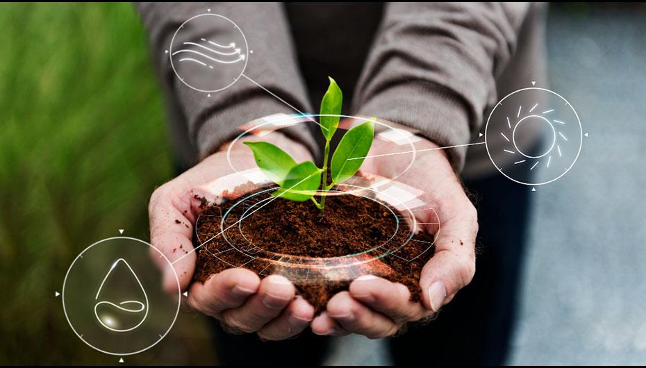 CÔNG TY TNHH HÓA NÔNG VIỆT THÁI