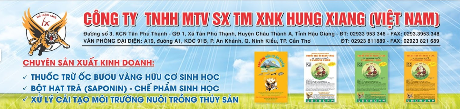 CÔNG TY TNHH MTV SẢN XUẤT THƯƠNG MẠI XUẤT NHẬP KHẨU HUNG XIANG (VIỆT NAM)