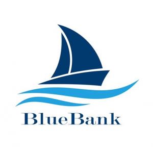 CÔNG TY CỔ PHẦN TẬP ĐOÀN BLUE BANK (VNSTAR)