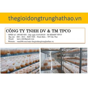 CÔNG TY TNHH DV & TM TPCO